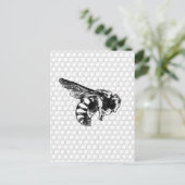 Carte Postale Abeille noire et blanche (Debout devant)