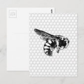 Carte Postale Abeille noire et blanche (Devant / Derrière)