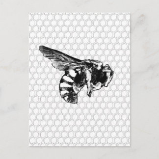 Carte Postale Abeille noire et blanche