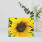 Carte Postale Abeille occupée Accentée (Debout devant)