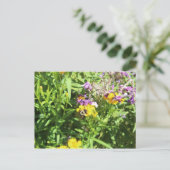 Carte Postale Abeille occupée n° 3 (Debout devant)