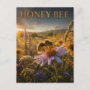 Carte Postale Abeille Sauvage Prairie Fleurie ANIMAUX