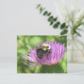 Carte Postale Abeille sur chardon (Debout devant)