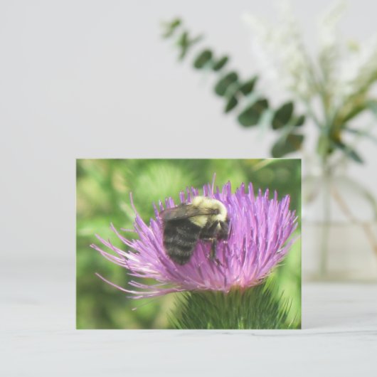 Carte Postale Abeille sur chardon (Debout devant)