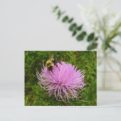 Carte Postale Abeille sur Fleur de Chardon Nature (Debout devant)