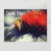 Carte Postale Abeille sur fleur remerciement couleur partielle (Devant)