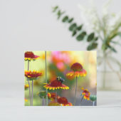 Carte Postale Abeille sur Gaillardia (Debout devant)
