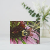 Carte Postale Abeille sur la fleur (Debout devant)