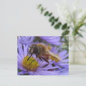 Carte Postale Abeille sur la fleur (Debout devant)