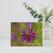 Carte Postale Abeille sur la fleur de chardon violet (Debout devant)