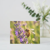 Carte Postale Abeille sur lavande (Debout devant)
