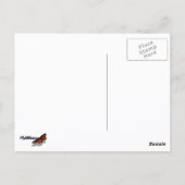 Carte Postale Abeille sur Lavender Summer Floral (Dos)