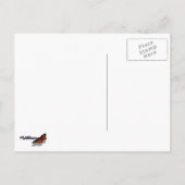 Carte Postale Abeille sur Lavender Summer Floral (Dos)