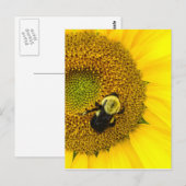 Carte Postale Abeille sur tournesol (Devant / Derrière)