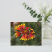 Carte Postale Abeille verte (Debout devant)