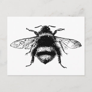 Carte Postale Abeille vintage