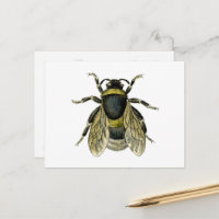 Abeille vintage Abeille noire et jaune Antique Abe