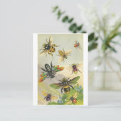Carte Postale Abeilles (Debout devant)