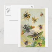 Carte Postale Abeilles (Devant / Derrière)