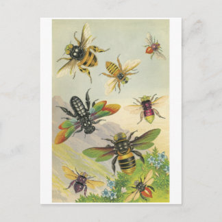 Carte Postale Abeilles