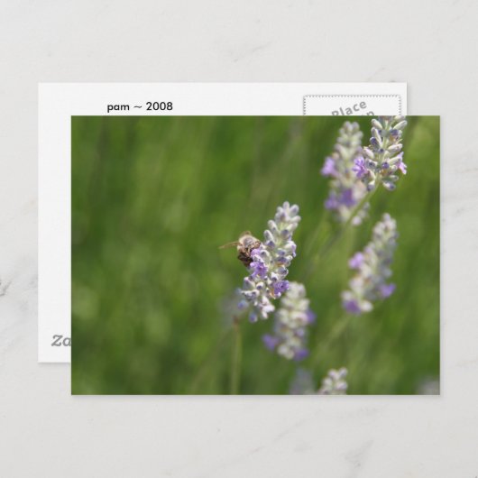 Carte Postale Abeilles (Devant / Derrière)