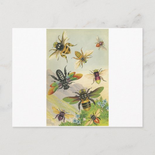 Carte Postale Abeilles (Devant)