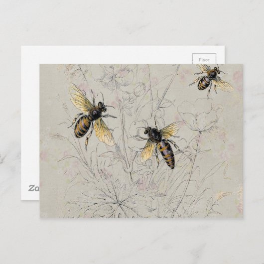 Carte Postale Abeilles (Devant / Derrière)