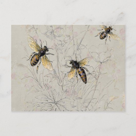 Carte Postale Abeilles (Devant)