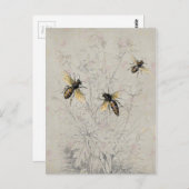 Carte Postale Abeilles (Devant / Derrière)