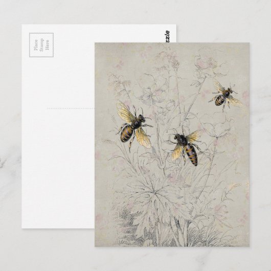 Carte Postale Abeilles (Devant / Derrière)