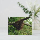 Carte Postale Abeilles de miel (Debout devant)