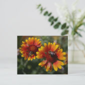 Carte postale Abeilles et fleurs orange (Debout devant)