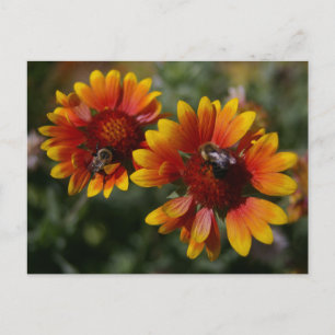 Carte postale Abeilles et fleurs orange