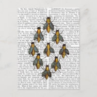 Abeilles médiévales 2