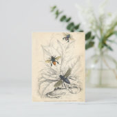 Carte Postale Abeilles vintages (Debout devant)