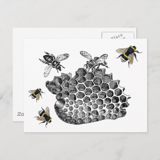 Carte Postale Abeilles vintages (Devant / Derrière)