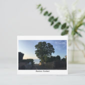 Carte Postale Aberdour, Écosse - Route vers la plage (Debout devant)