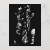 Carte Postale Aberrations organiques flottantes (Devant)