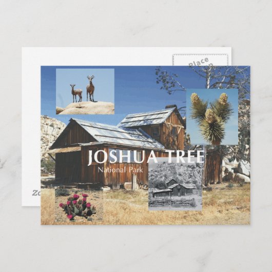 Carte Postale ABH Joshua Tree (Devant / Derrière)