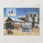Carte Postale ABH Joshua Tree (Devant)