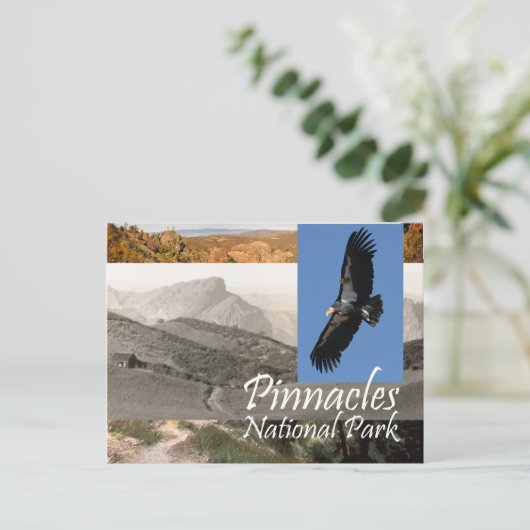 Carte Postale ABH Pinnacles NP (Debout devant)