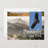 Carte Postale ABH Pinnacles NP (Devant / Derrière)