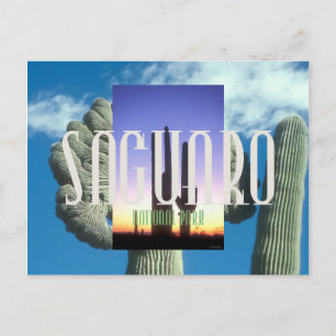 Carte Postale ABH Saguaro