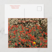 Carte postale Ablaze (Devant / Derrière)