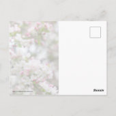 Carte Postale Abondance De Fleurs (Dos)