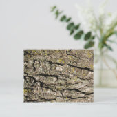 Carte Postale Aboyer (Debout devant)