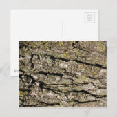 Carte Postale Aboyer (Devant / Derrière)