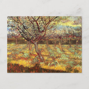 Carte Postale Abricotiers en fleurs par Van Gogh