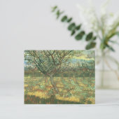 Carte Postale Abricotiers en fleurs, Vincent van Gogh (Debout devant)