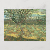 Carte Postale Abricotiers en fleurs, Vincent van Gogh (Devant)